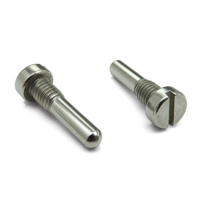 High-Strength Long Lasting Anti-Vibration Metal Screw Fastener for Custom OEM Applications